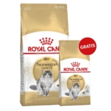 Royal Canin Katzenfutter Norwegische Waldkatze 10kg+2kg gratis