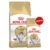 Royal Canin Katzenfutter Norwegische Waldkatze 10kg+2kg gratis