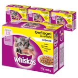 Whiskas Junior Geflügelauswahl in Gelee 48x100g