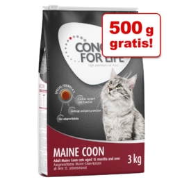 2,5 kg + 500 g gratis! 3 kg Concept for Life Katzennahrung - Kitten